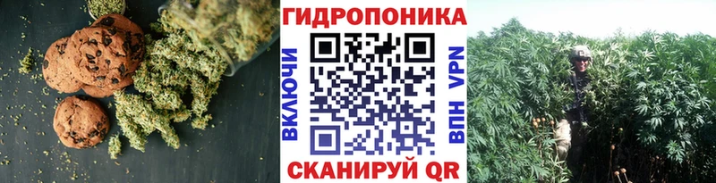 Cannafood конопля  darknet как зайти  Суровикино  закладка 