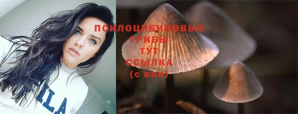 apvp Алзамай