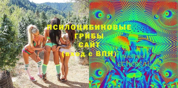 apvp Алзамай