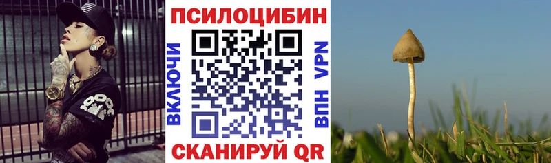 Галлюциногенные грибы Cubensis  Суровикино 